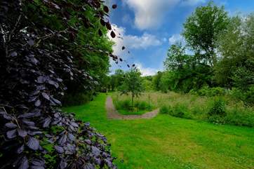 Wander around the meadow in the community field.