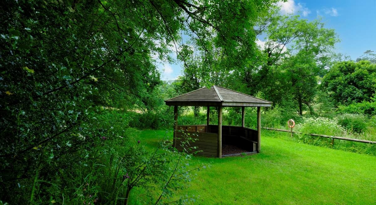 Enjoy the wildflower meadow, field and pond of Ham Field.