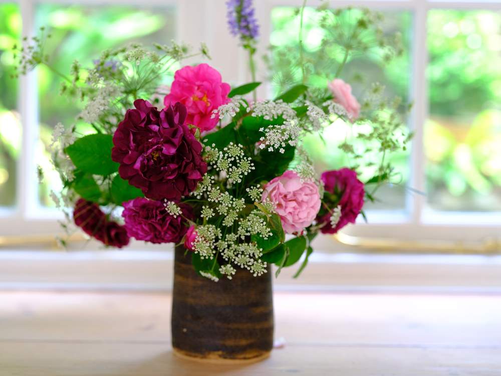 Pretty flowers from the garden are a joy in summer time.