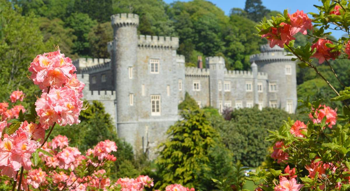 Stunning Caerhays Castle and gardens.