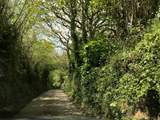 The little lane leading down to the cove.