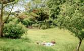 The large garden has fruit cages, a veg bed and lots of unusual mature plants.  - Thumbnail Image