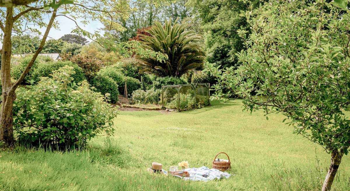 The large garden has fruit cages, a veg bed and lots of unusual mature plants. 