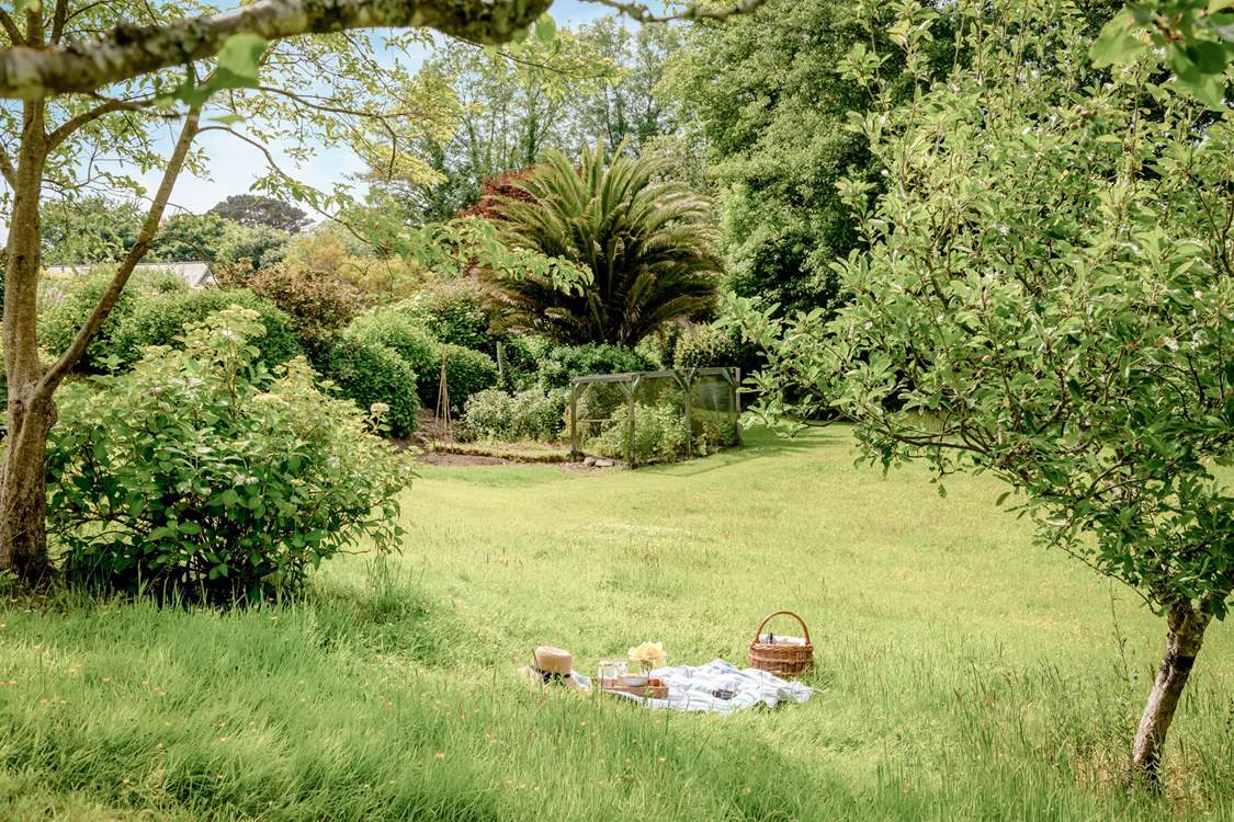The large garden has fruit cages, a vegetable bed and lots of unusual mature plants.