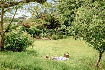 The large garden has fruit cages, a veg bed and lots of unusual mature plants.