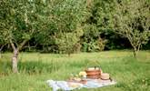 Take a teddy bear's picnic down into the orchard amongst the wild flowers.  - Thumbnail Image