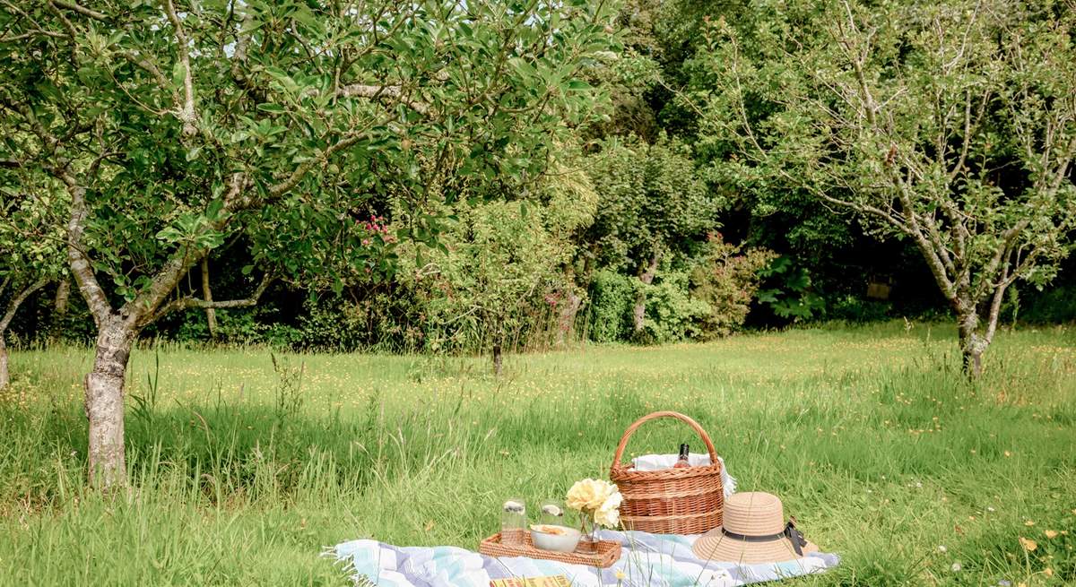 Take a teddy bear's picnic down into the orchard amongst the wild flowers. 