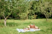 Take a teddy bear's picnic down into the orchard amongst the wild flowers.
