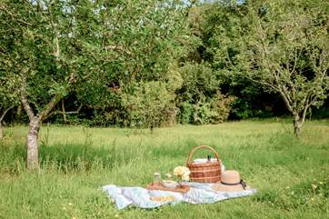 Take a teddy bear's picnic down into the orchard amongst the wild flowers.