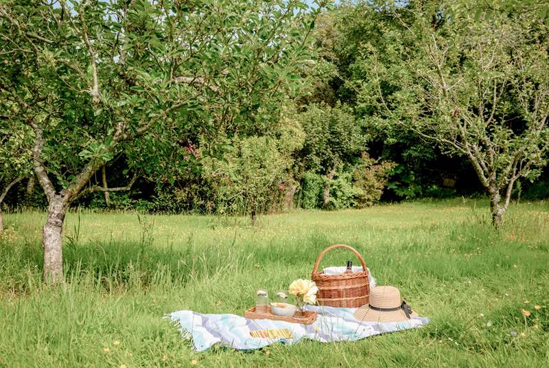 Take a teddy bear's picnic down into the orchard amongst the wild flowers. 