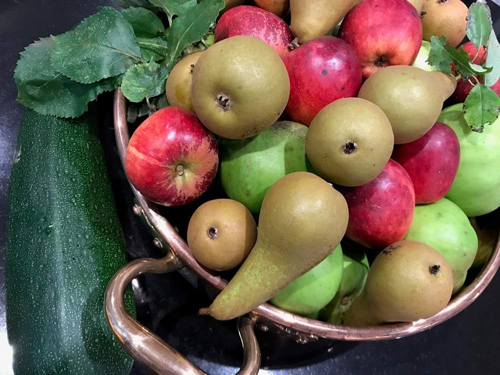Bountiful harvest to enjoy at Marnylunn.