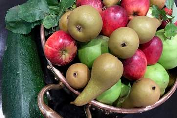 Bountiful harvest to enjoy at the Marnylunn.