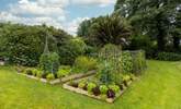 The lovely vegetable patch. - Thumbnail Image