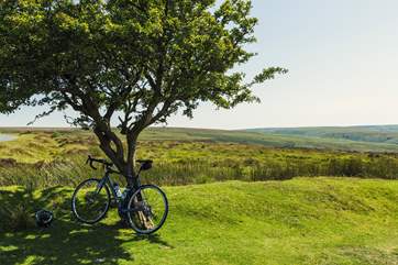 Exmoor is not too far away.