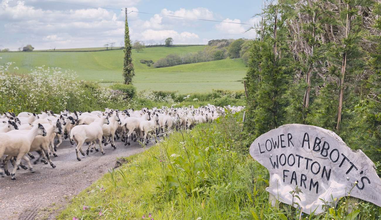 There's nothing like a countryside escape! 