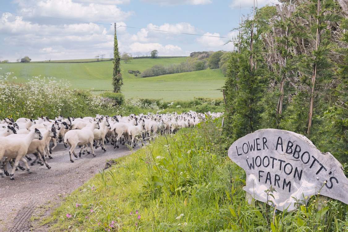 There's nothing like a countryside escape!