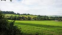 Wander the tranquil Dorset countryside.