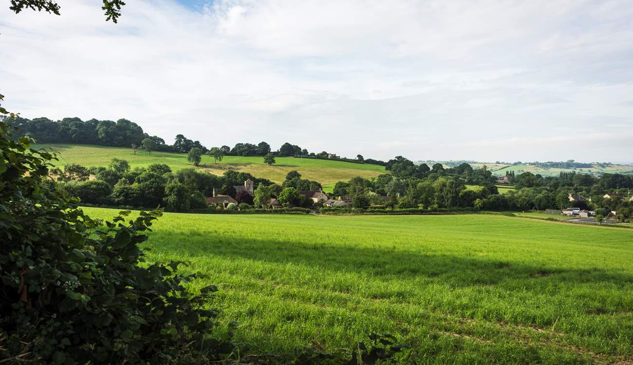 Wander the tranquil Dorset countryside.