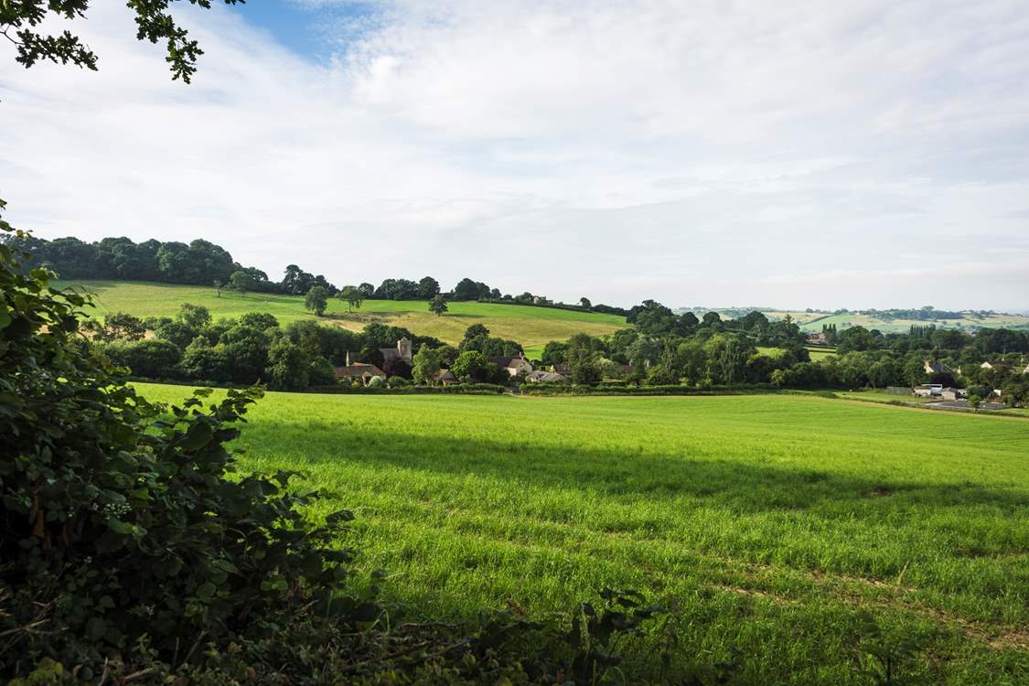 Wander the tranquil Dorset countryside.