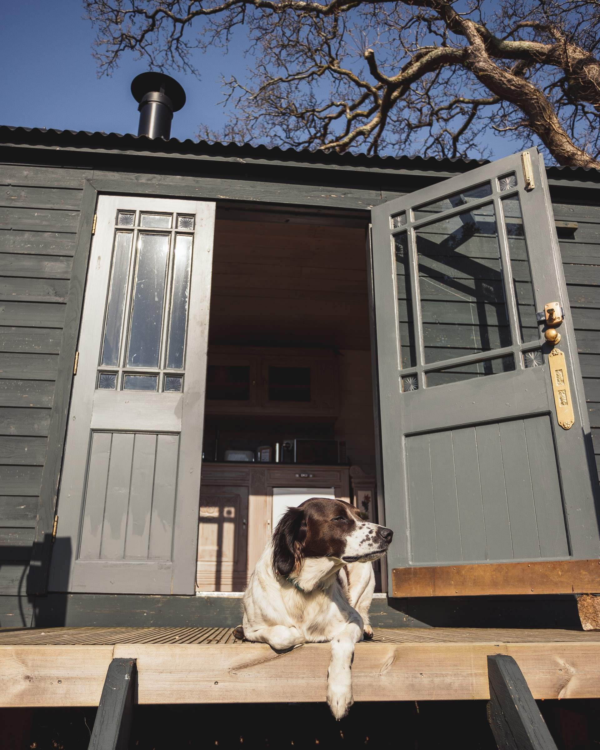 Your beloved pooch will love staying at this heavenly hideaway with you! 