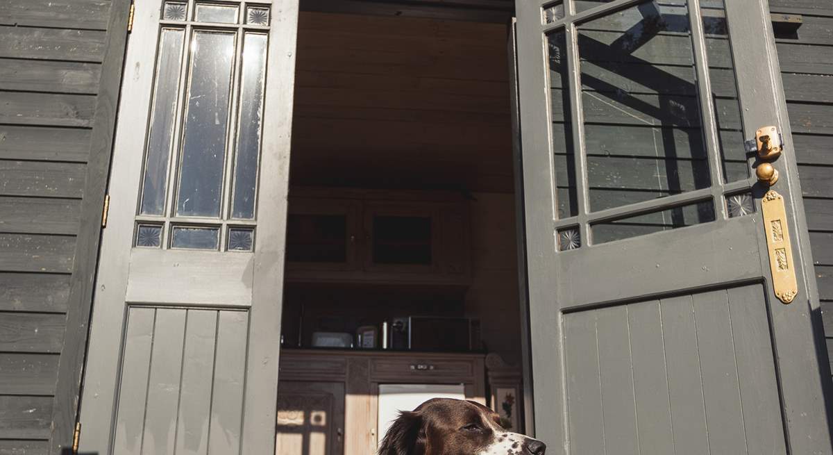 Your beloved pooch will love staying at this heavenly hideaway with you! 