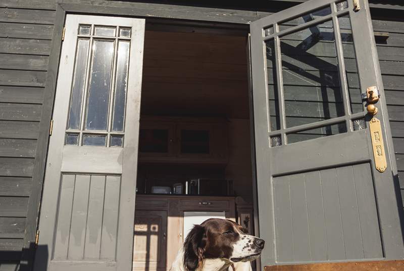 Your beloved pooch will love staying at this heavenly hideaway with you! 