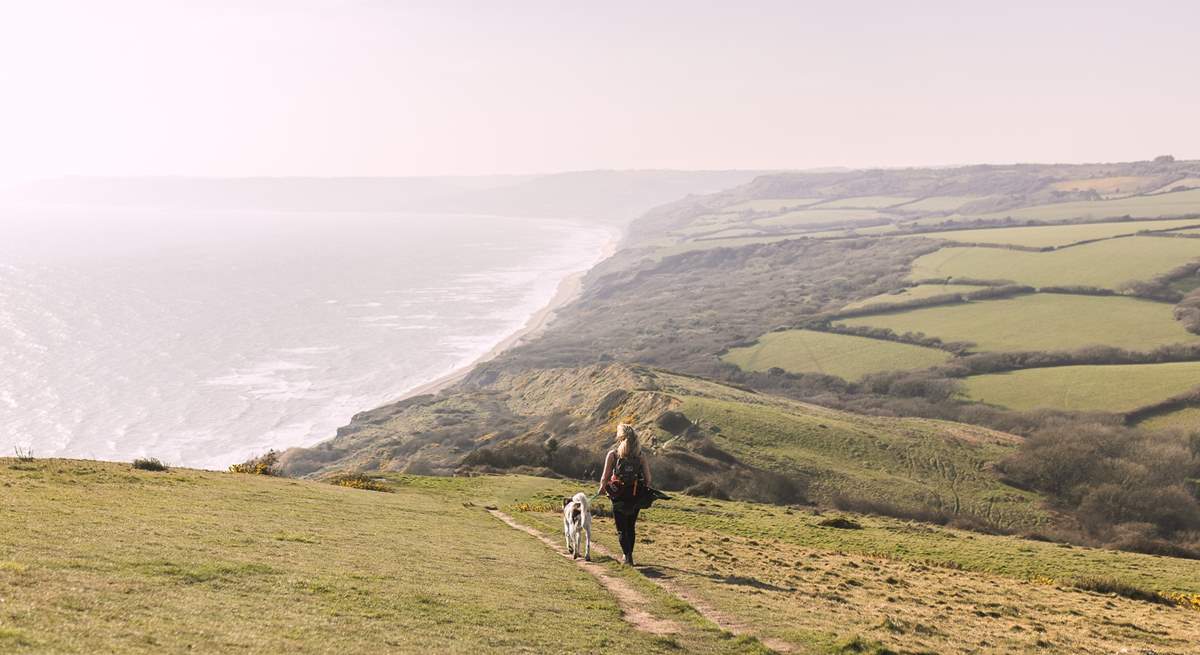 Whatever the season the coastline is truly breathtaking. 