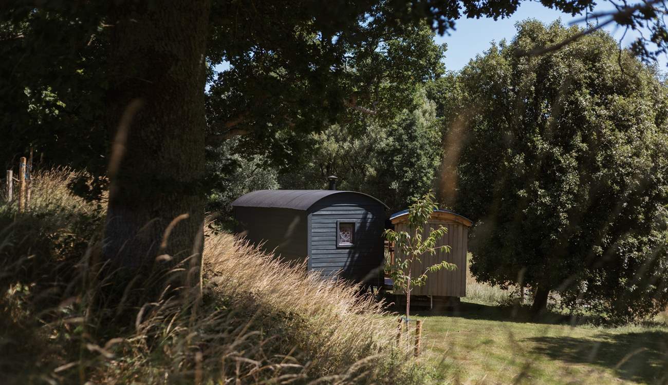 Nestled in nature, La Cabine Francaise is a complete dream. 