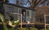 Your beloved pooch will love staying at this heavenly hideaway with you!  - Thumbnail Image