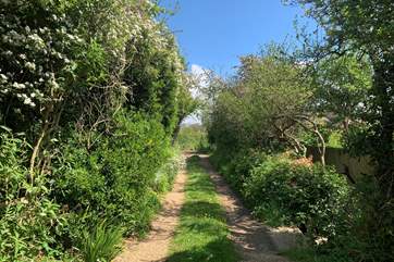 The unmade lane to the property also leads to a couple of public footpaths for you to explore.