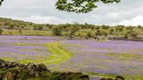 Lace up your walking boots for a Dartmoor adventure.
