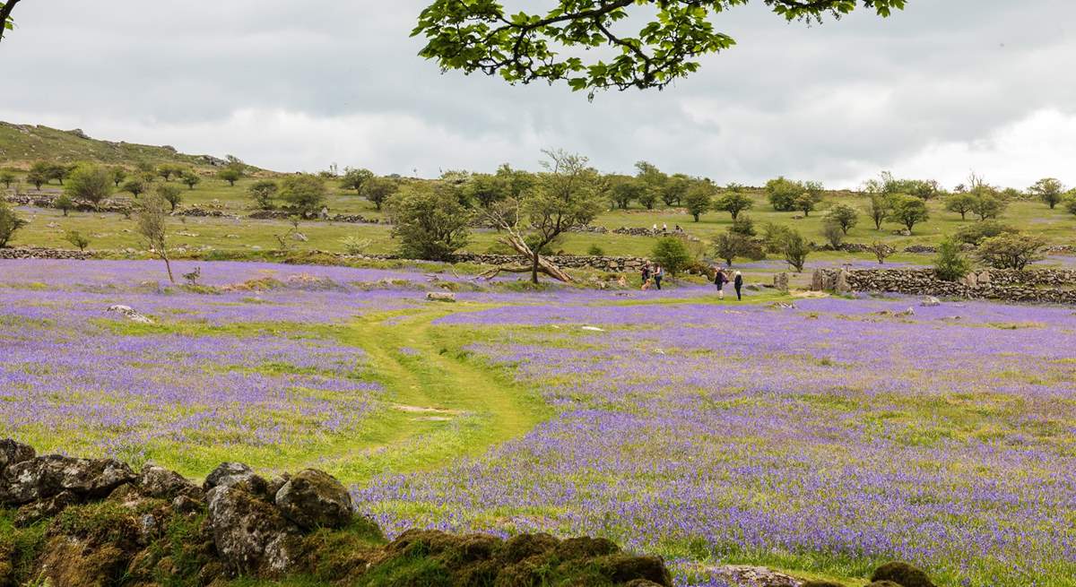 Lace up your walking boots for a Dartmoor adventure.