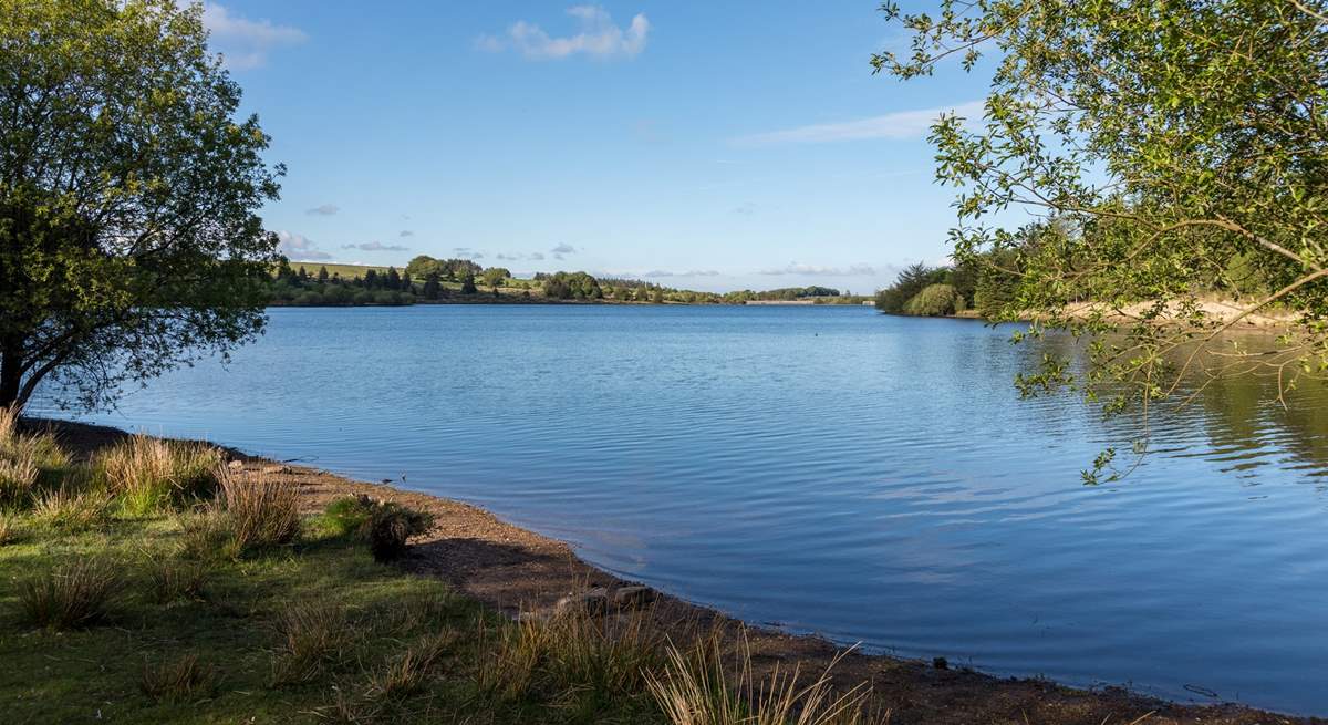 Fernworthy Reservoir, Dartmoor.