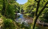 The river Dart is stunning at any time of year. - Thumbnail Image