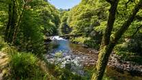The river Dart is stunning at any time of year.