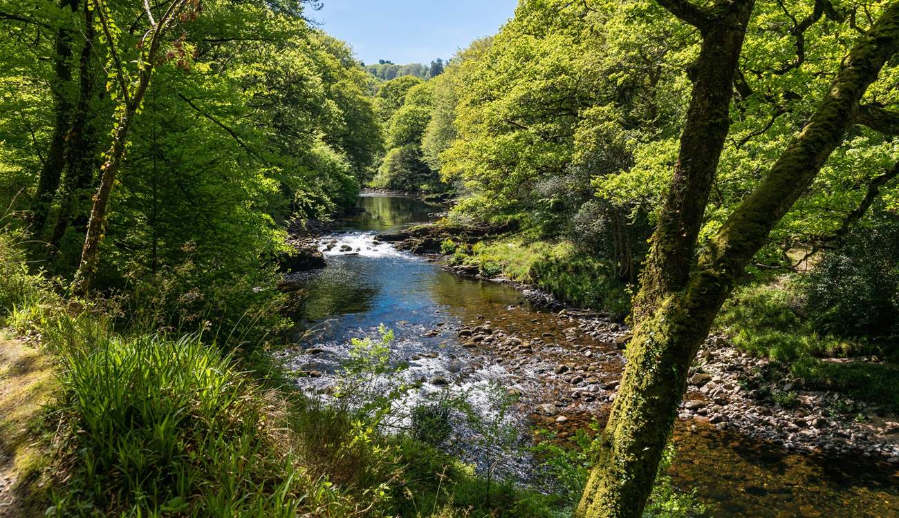 The river Dart is stunning at any time of year.