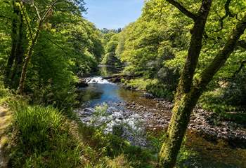 The river Dart is stunning at any time of year.