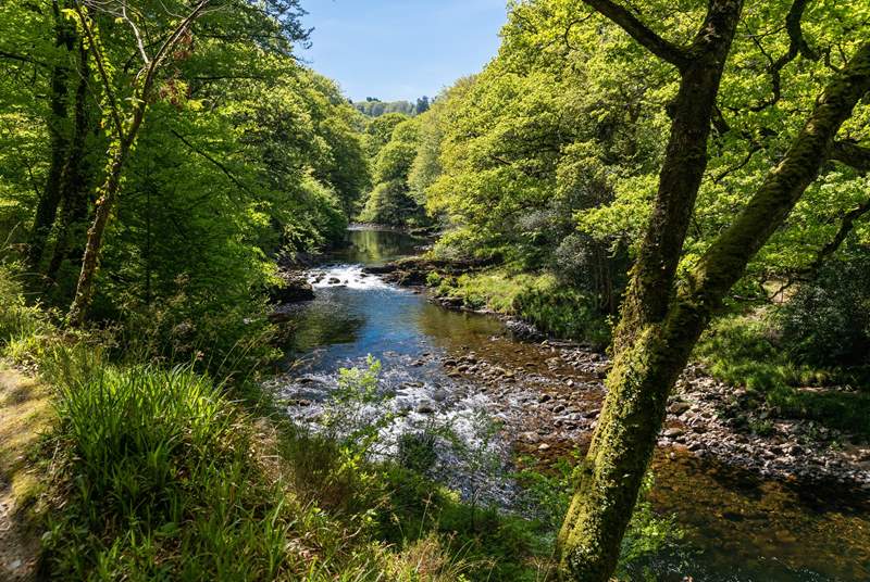 The river Dart is stunning at any time of year.