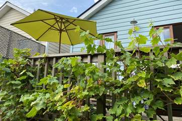 Relax in the quiet setting with refreshments in hand, enjoying the Island's sun shine.