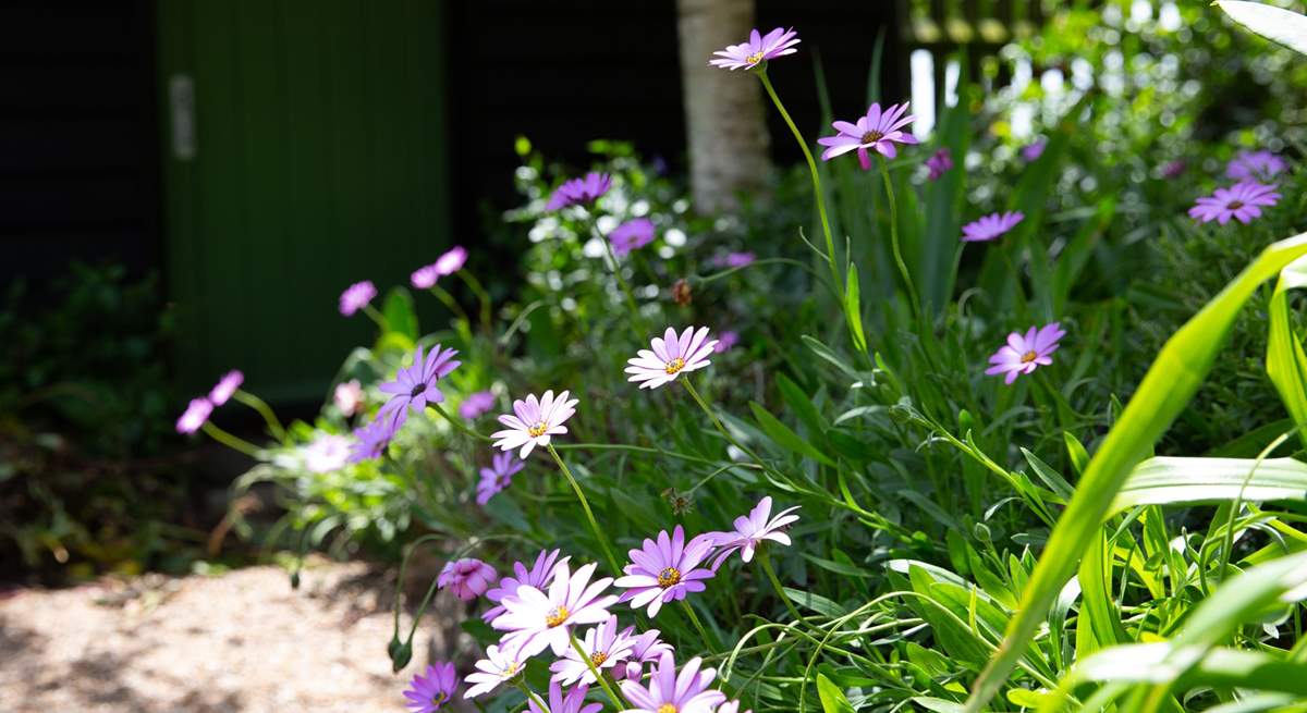 Pretty plants.