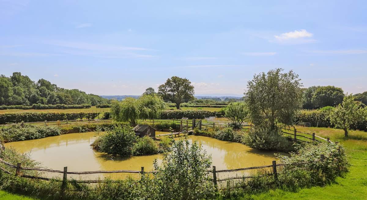 In the grounds of the farm is a large pond which attracts all types of wildlife and birds.  Do take care with children.