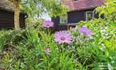 The gorgeous planting in the courtyard garden. - Thumbnail Image