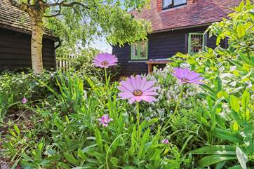 The gorgeous planting in the courtyard garden.
