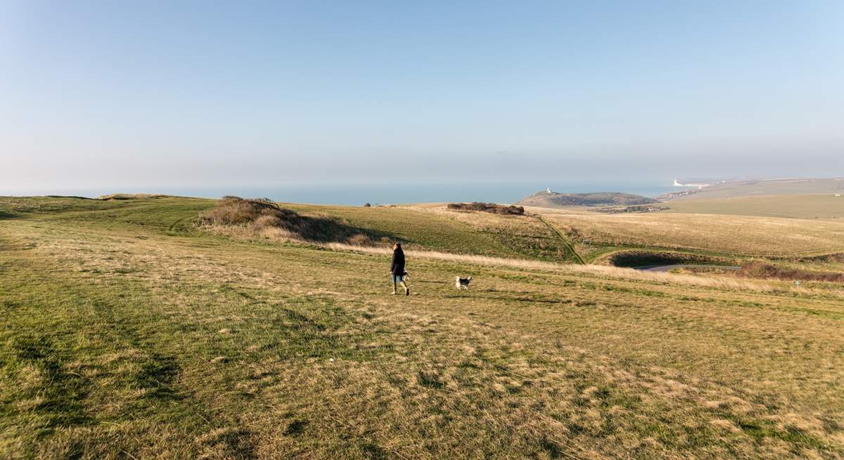 Walking the South Downs.