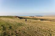 Walking the South Downs.