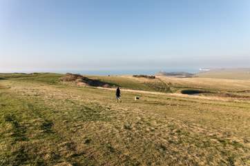 Walking the South Downs.
