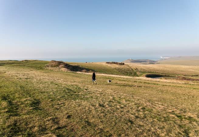 Walking the South Downs.