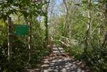 Just a short walk from the property is Lynda's Woods, a beautiful walk down to the 'secret beach'.