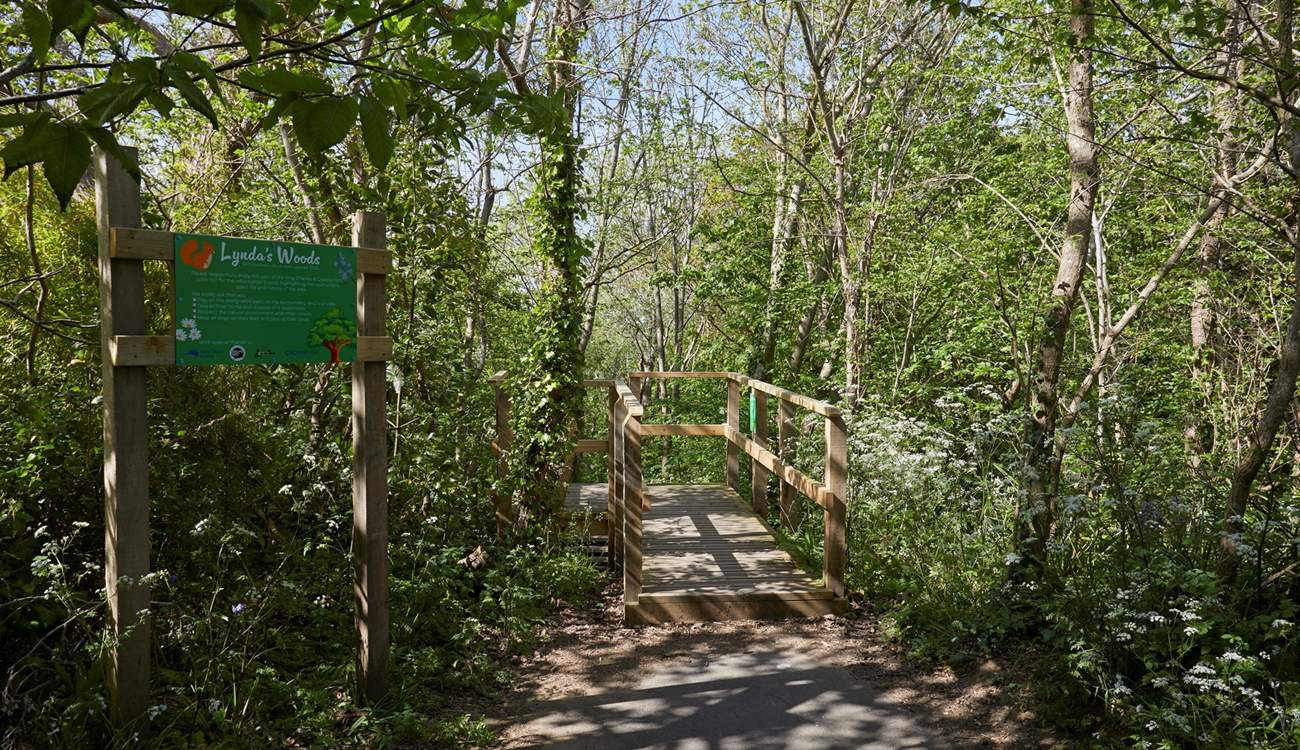 Just a short walk from the property is Lynda's Woods, a beautiful walk down to the 'secret beach'.