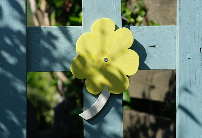 A primrose of course on the garden gate!